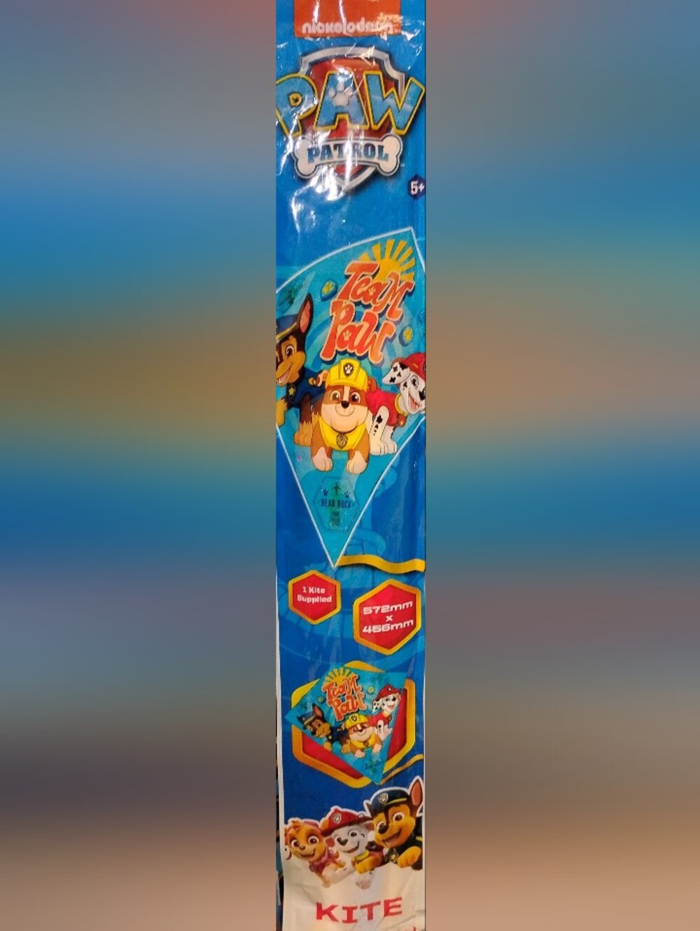 PAW Patrol Team Pup Kids Kite - Blue